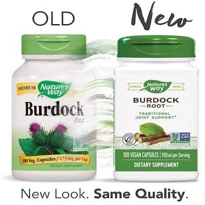 Nature's Way Burdock Root