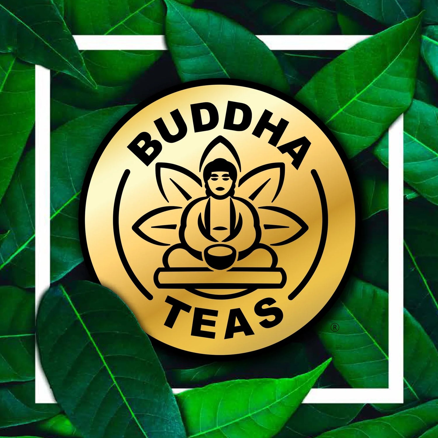 Buddha Teas
