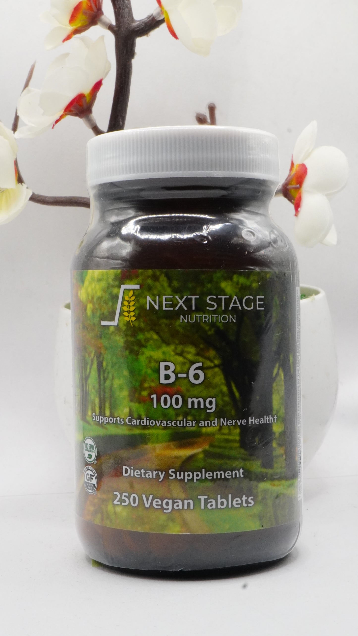 Next Stage B-6 100 mg