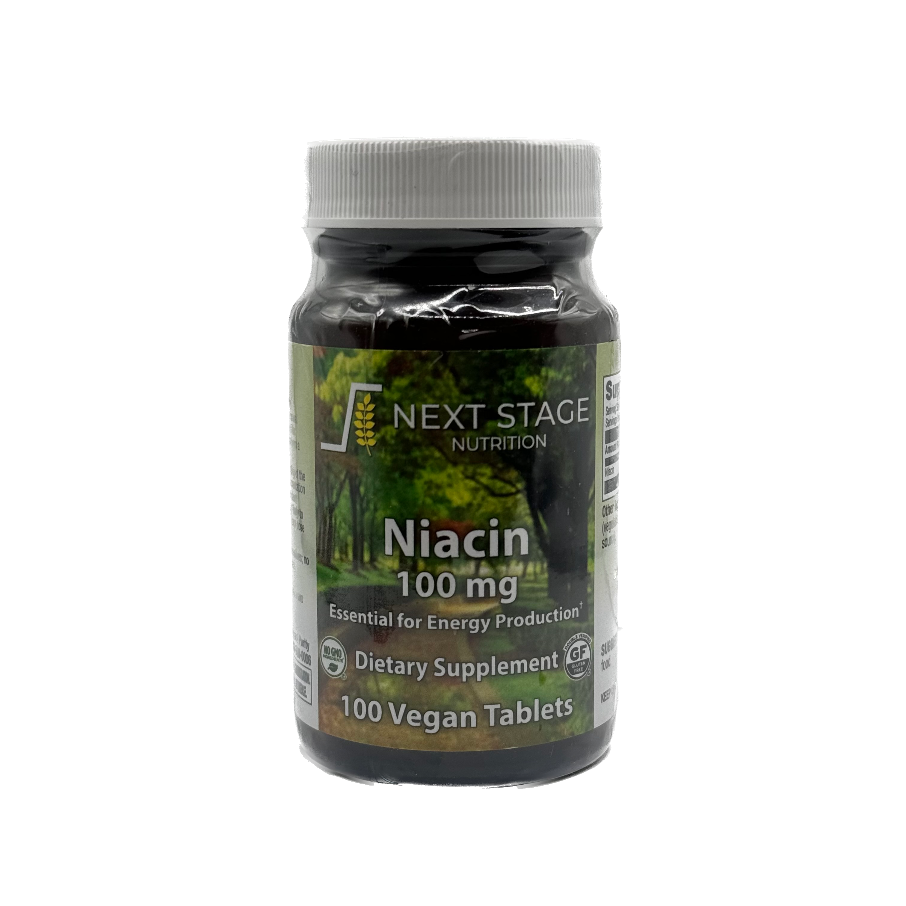 Next Stage Niacin 100 mg