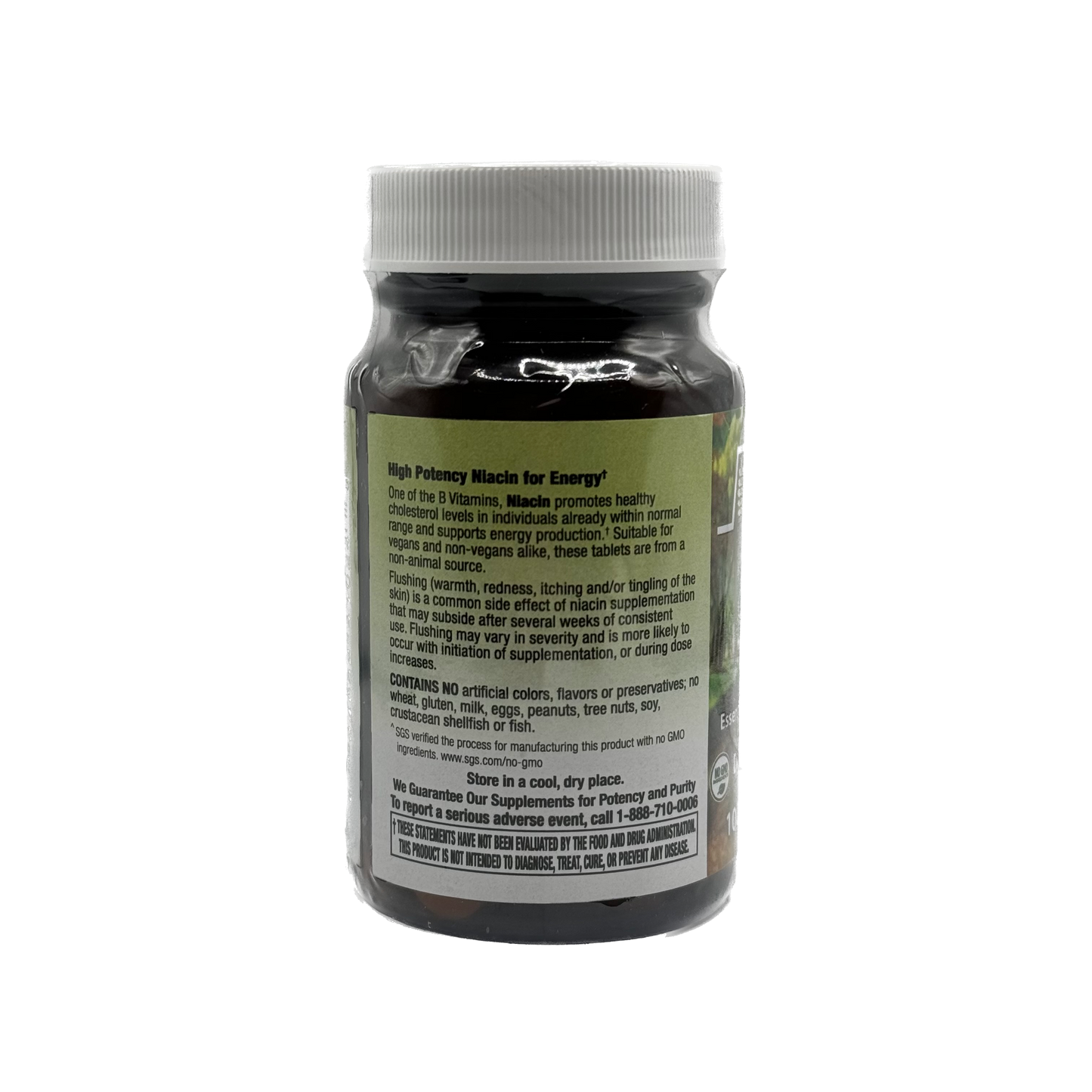 Next Stage Niacin 100 mg