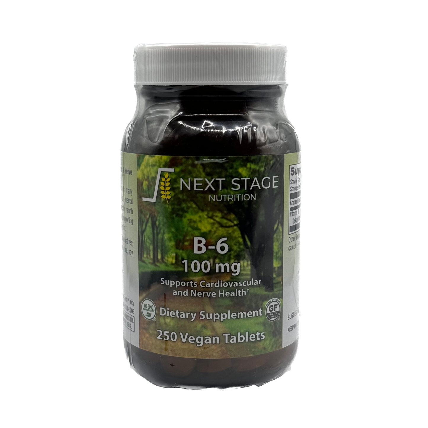 Next Stage B-6 100 mg