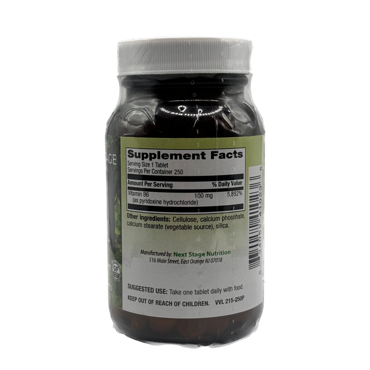 Next Stage B-6 100 mg