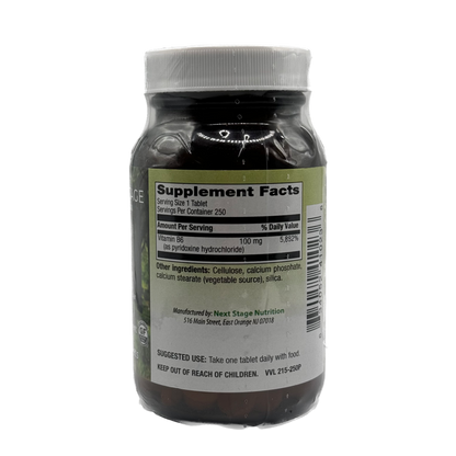Next Stage B-6 100 mg