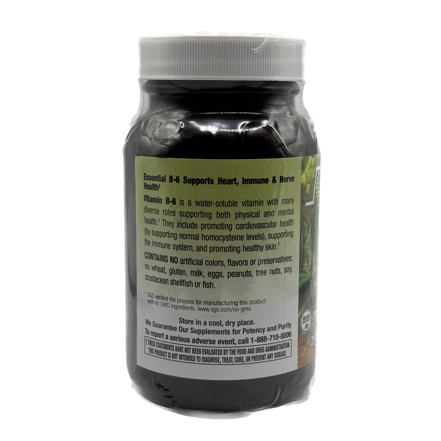 Next Stage B-6 100 mg