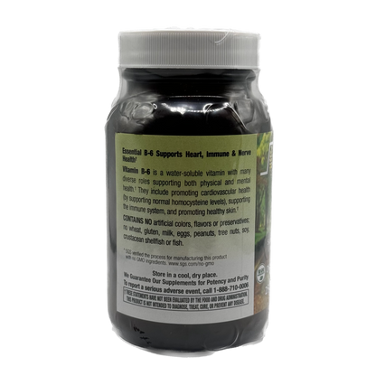 Next Stage B-6 100 mg
