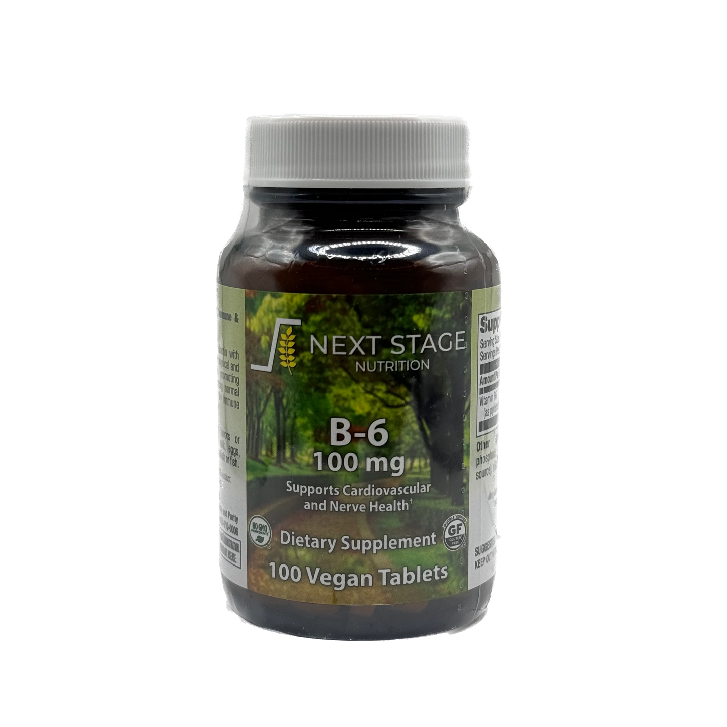 Next Stage B-6 100 mg