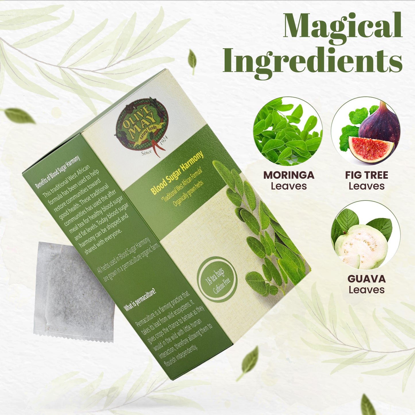 Olive May Blood Sugar Harmony Tea