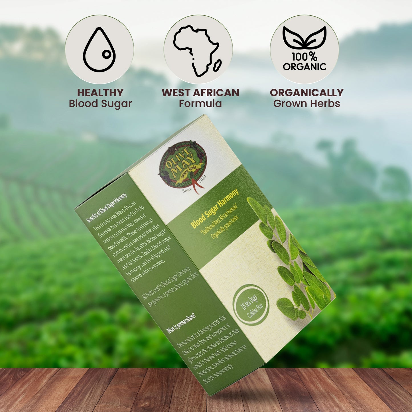 Olive May Blood Sugar Harmony Tea