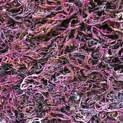Organic Raw Wild-crafted Purple Sea Moss