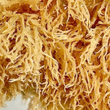 Raw Organic Irish Sea Moss